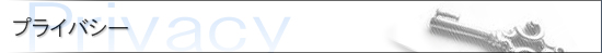 vCoV[Xe[ggilی鐾j